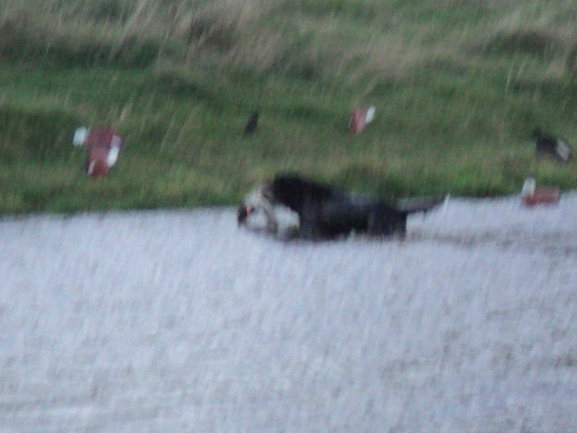 Name:  picture 5813.jpg
Views: 273
Size:  165.2 KB