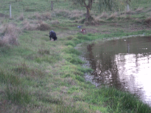 Name:  picture 5814.jpg
Views: 262
Size:  163.9 KB