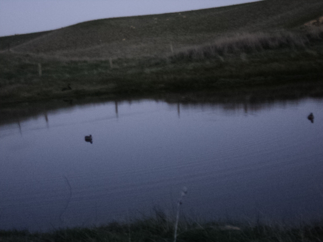 Name:  picture 5819.jpg
Views: 260
Size:  164.9 KB