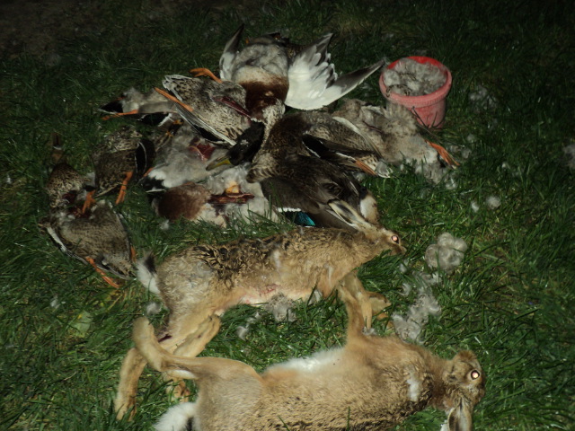 Name:  picture 5831.jpg
Views: 2043
Size:  164.9 KB