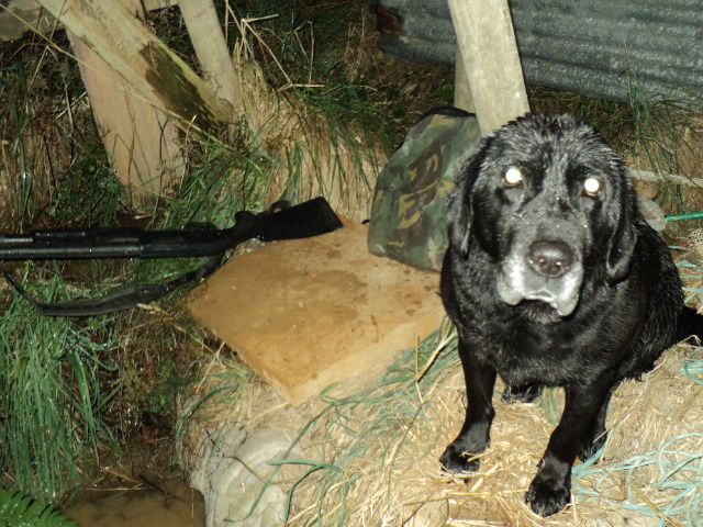 Name:  picture 5862.jpg
Views: 551
Size:  164.8 KB