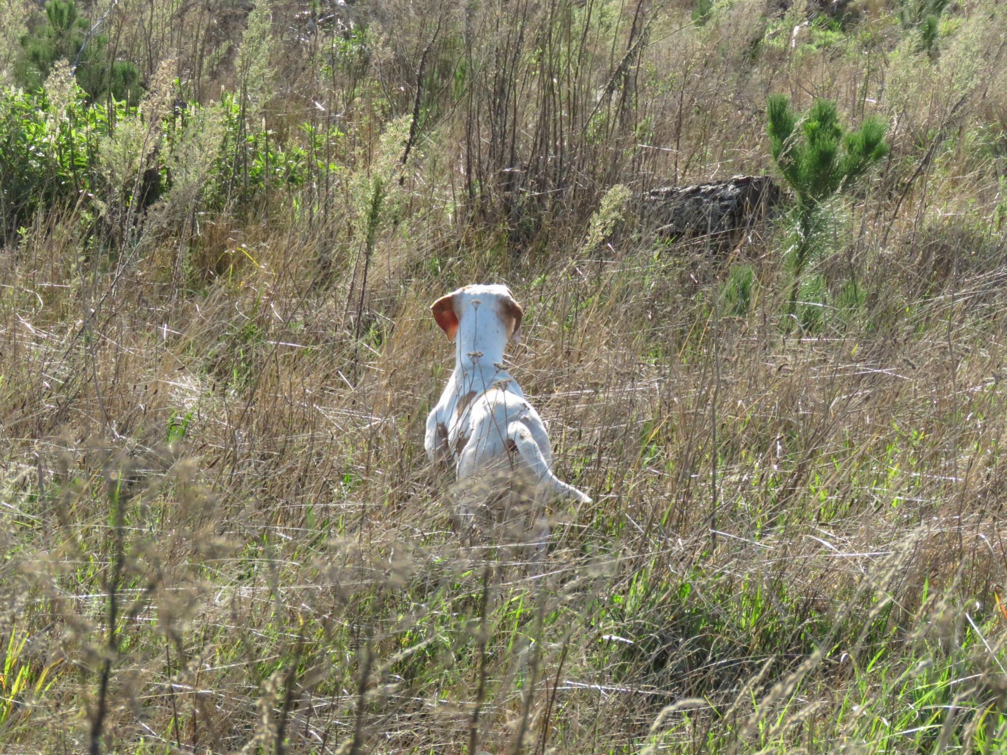 Name:  image.jpg
Views: 320
Size:  687.8 KB