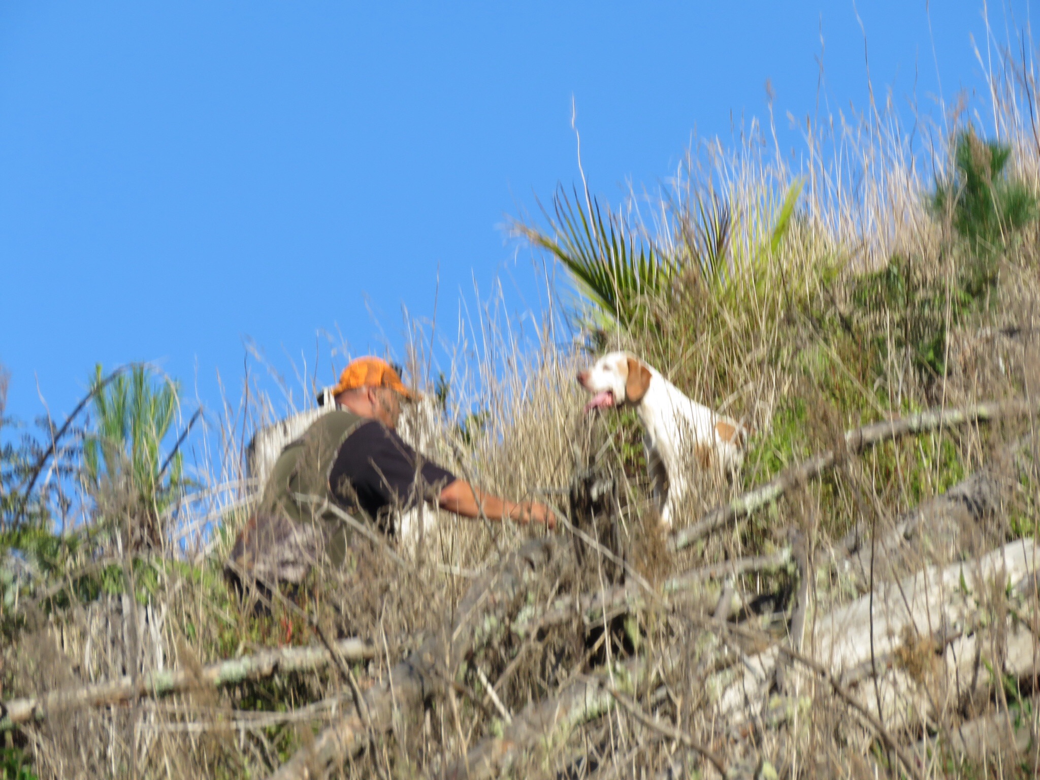 Name:  image.jpg
Views: 338
Size:  766.7 KB