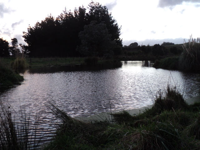 Name:  picture 5878.jpg
Views: 296
Size:  164.1 KB