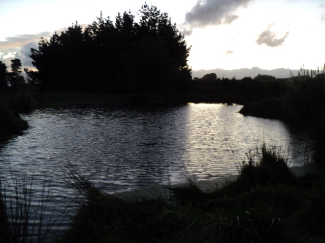 Name:  picture 5881.jpg
Views: 280
Size:  164.5 KB