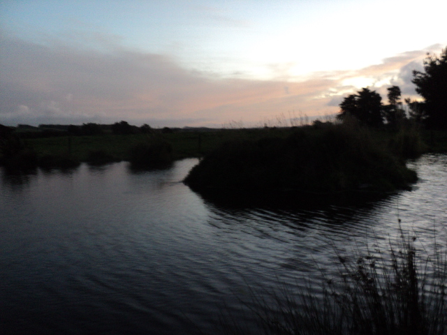 Name:  picture 5882.jpg
Views: 287
Size:  164.9 KB