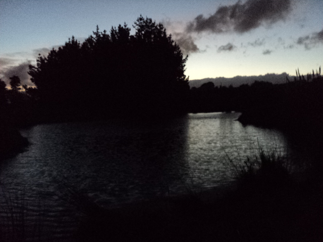 Name:  picture 5884.jpg
Views: 303
Size:  165.3 KB