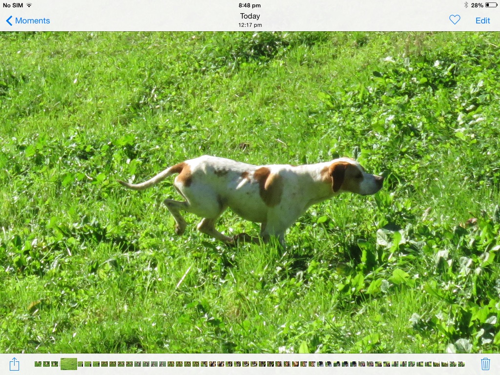 Name:  image.jpg
Views: 332
Size:  415.6 KB