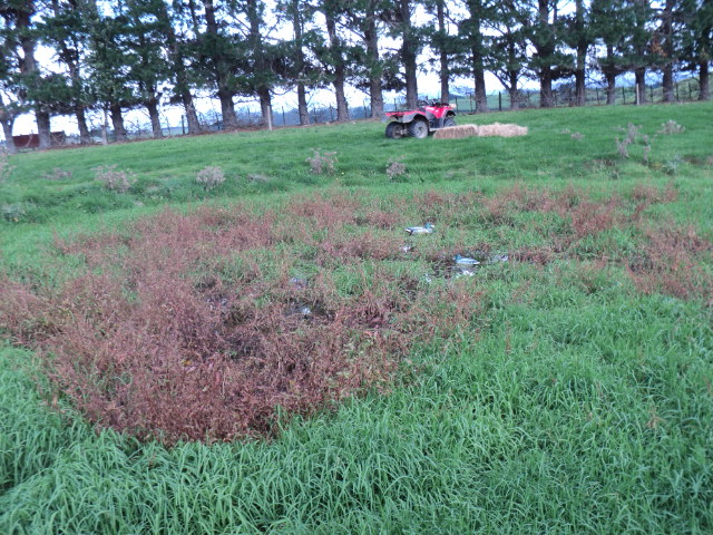 Name:  picture 5920.jpg
Views: 222
Size:  164.7 KB