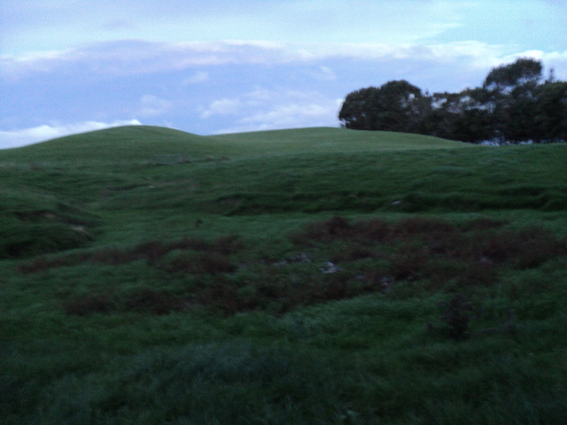 Name:  picture 5926.jpg
Views: 376
Size:  164.4 KB