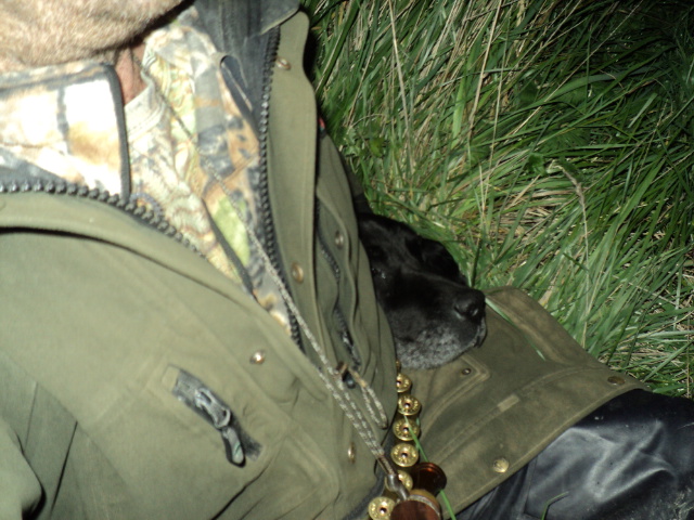 Name:  picture 5944.jpg
Views: 339
Size:  164.7 KB