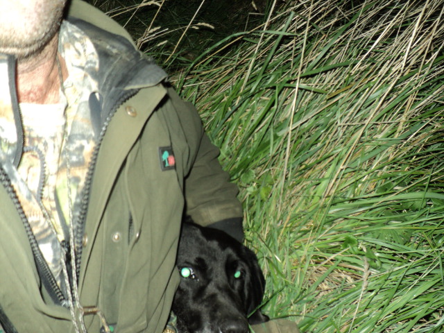 Name:  picture 5946.jpg
Views: 329
Size:  164.5 KB