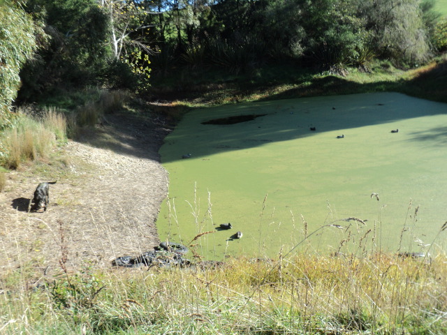 Name:  picture 5948.jpg
Views: 280
Size:  163.4 KB