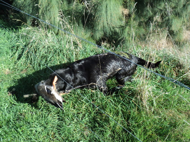 Name:  picture 5949.jpg
Views: 279
Size:  163.6 KB