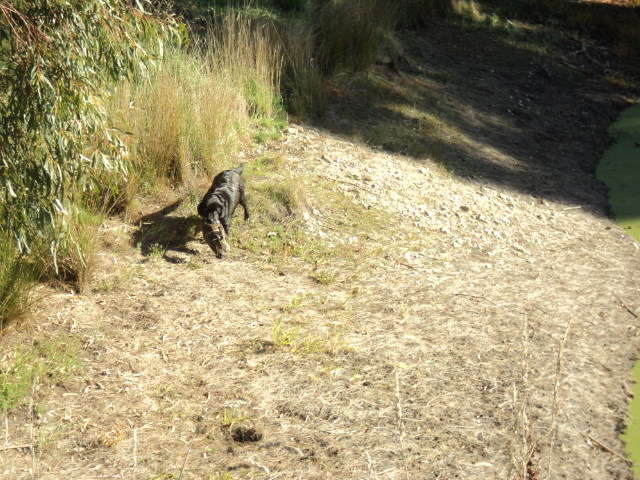 Name:  picture 5951.jpg
Views: 301
Size:  164.2 KB