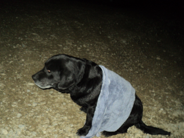 Name:  picture 6005.jpg
Views: 391
Size:  163.5 KB