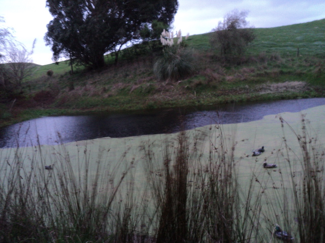 Name:  picture 6087.jpg
Views: 454
Size:  164.5 KB