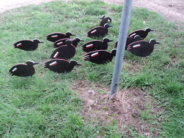 Name:  picture 6299.jpg
Views: 215
Size:  164.0 KB