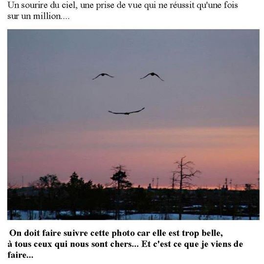 Name:  afotoinamillion.jpg
Views: 299
Size:  33.4 KB