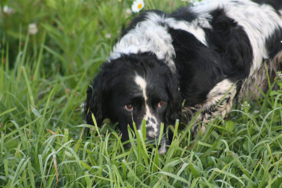 Name:  20110103_9.JPG
Views: 5198
Size:  131.7 KB
