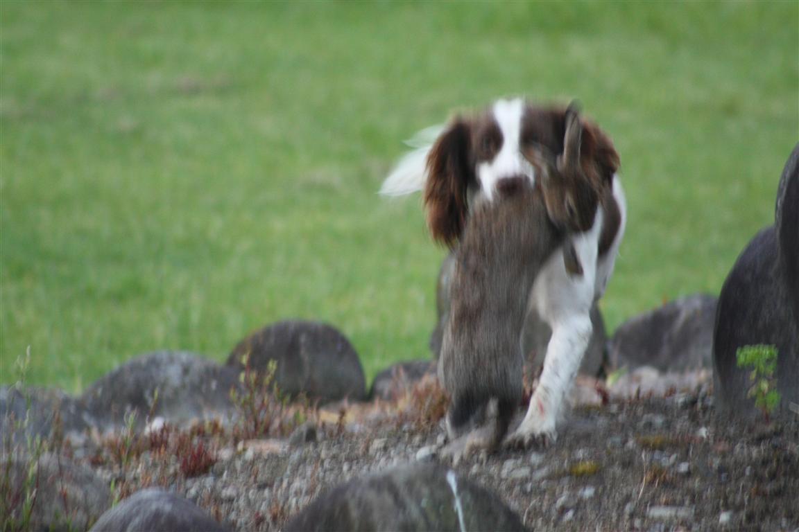 Name:  20110103_20.JPG
Views: 3760
Size:  88.5 KB