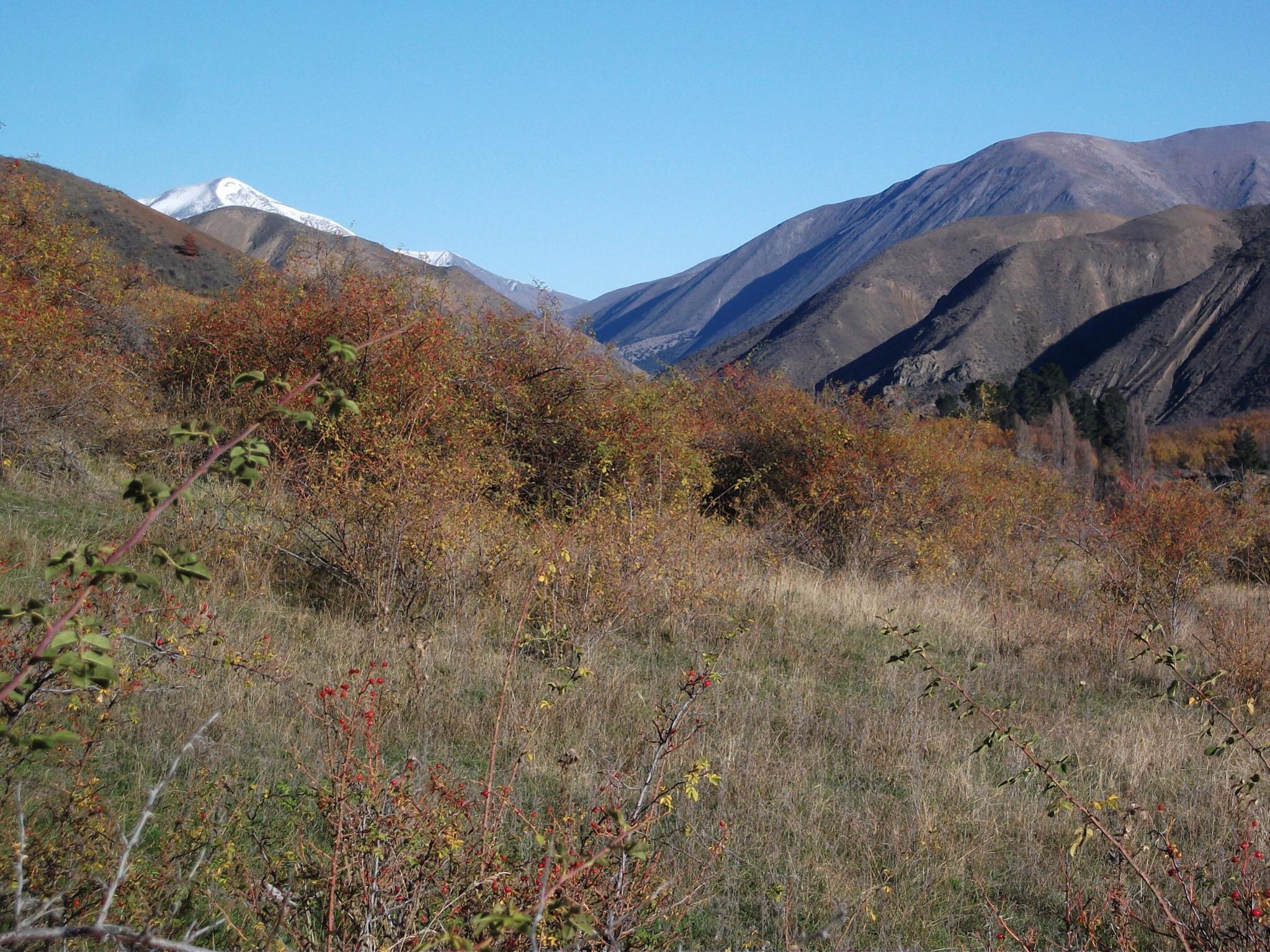 Name:  image.jpg
Views: 950
Size:  615.5 KB