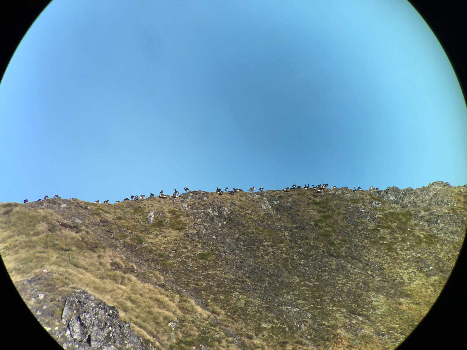 Name:  ImageUploadedByTapatalk1455491965.683311.jpg
Views: 454
Size:  182.0 KB