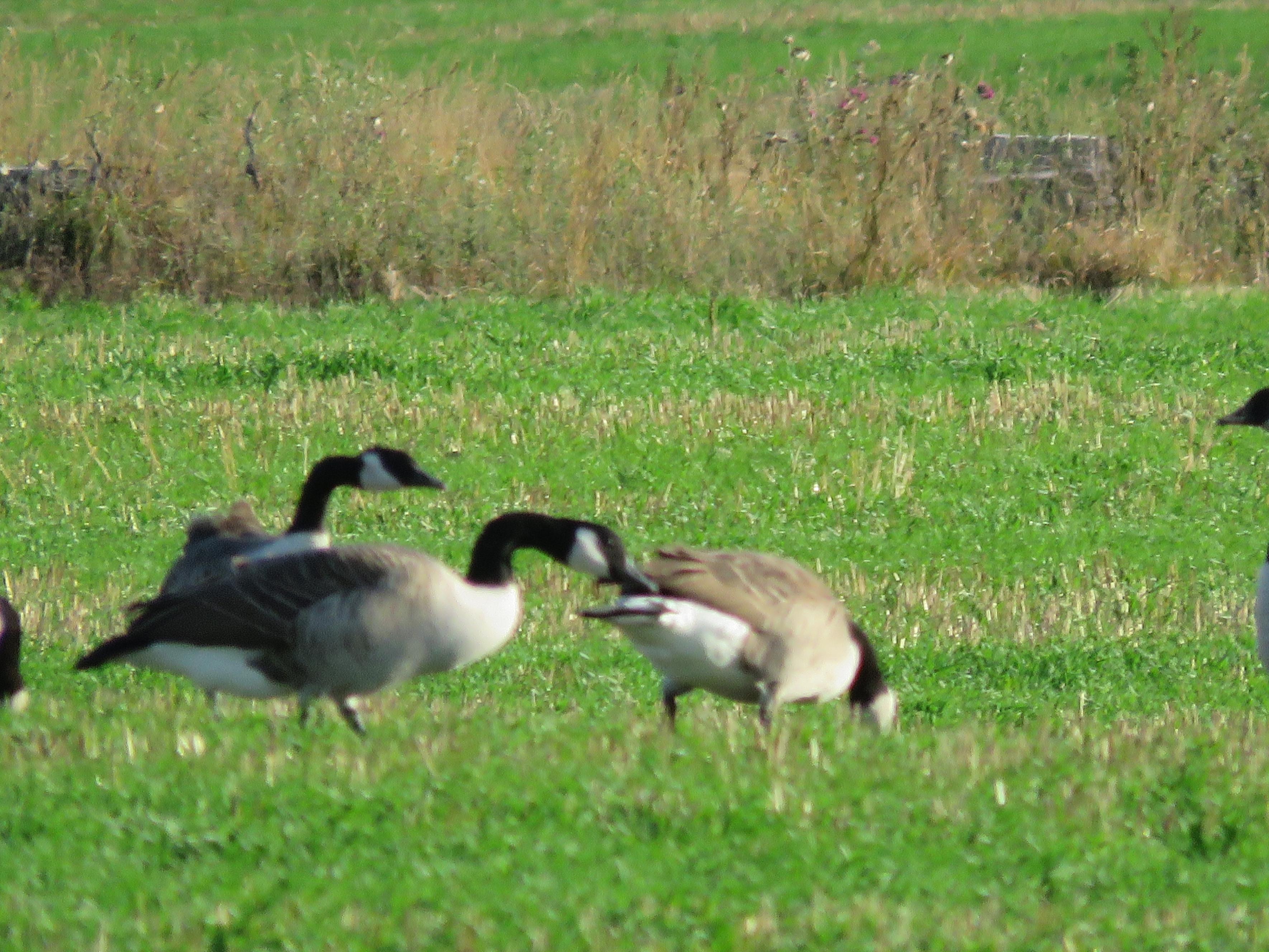 Name:  IMG_1430.jpg
Views: 517
Size:  1.10 MB