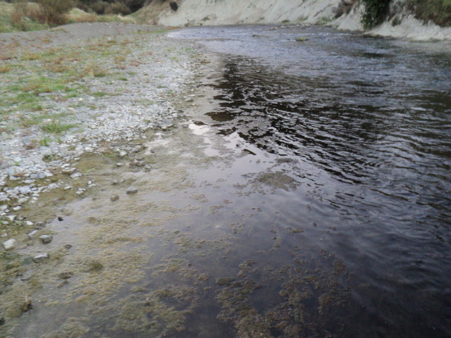 Name:  picture 8354.jpg
Views: 346
Size:  164.8 KB
