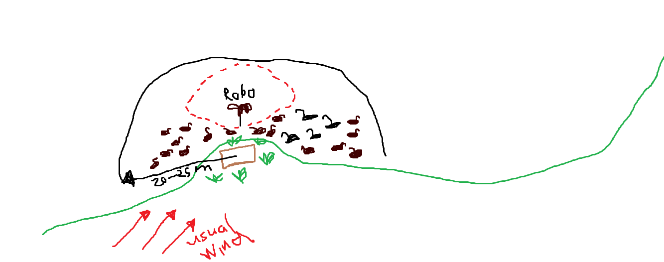 Name:  dead duck.png
Views: 531
Size:  34.9 KB