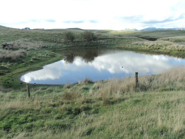 Name:  picture 8423.jpg
Views: 327
Size:  164.6 KB
