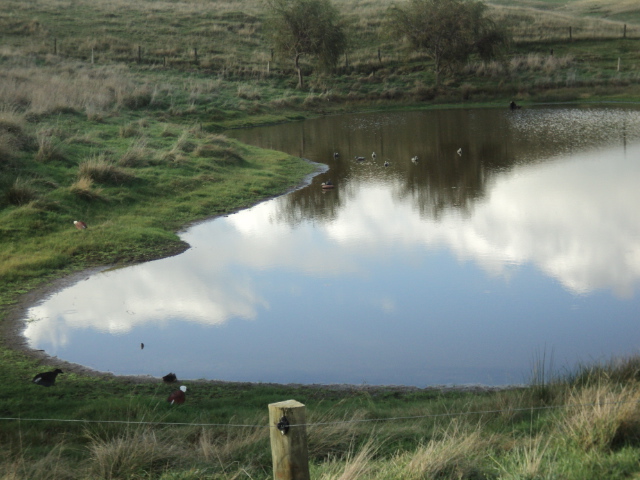 Name:  picture 8424.jpg
Views: 318
Size:  162.6 KB