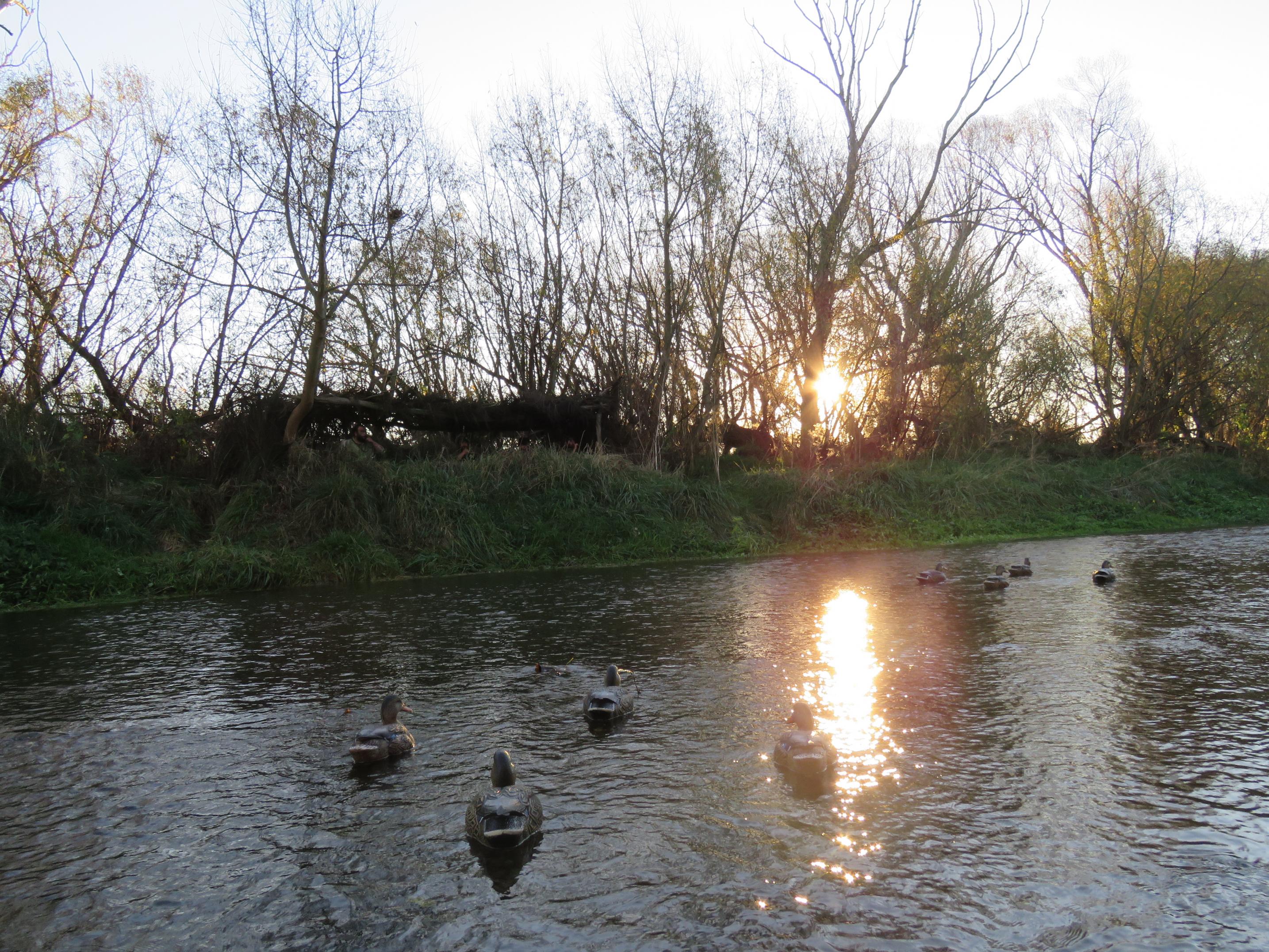 Name:  IMG_2156.jpg
Views: 421
Size:  1.14 MB