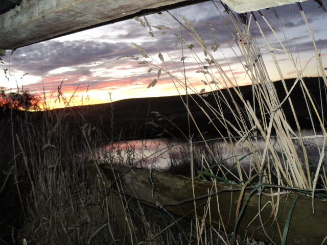 Name:  picture 8427.jpg
Views: 336
Size:  163.9 KB