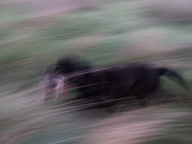 Name:  picture 8430.jpg
Views: 295
Size:  164.9 KB