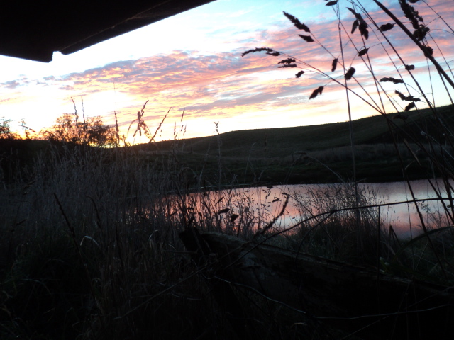 Name:  picture 8432.jpg
Views: 288
Size:  164.0 KB