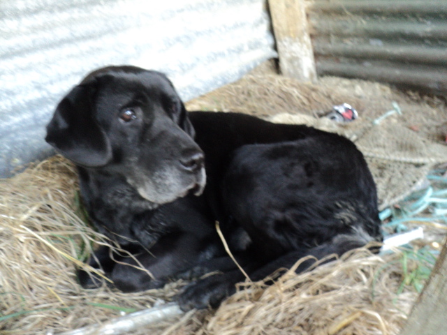 Name:  picture 8447.jpg
Views: 301
Size:  162.6 KB