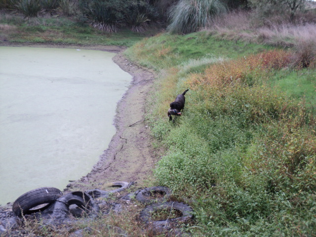 Name:  picture 8458.jpg
Views: 293
Size:  163.4 KB