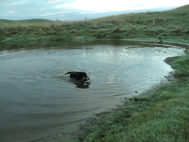 Name:  picture 8480.jpg
Views: 261
Size:  162.8 KB