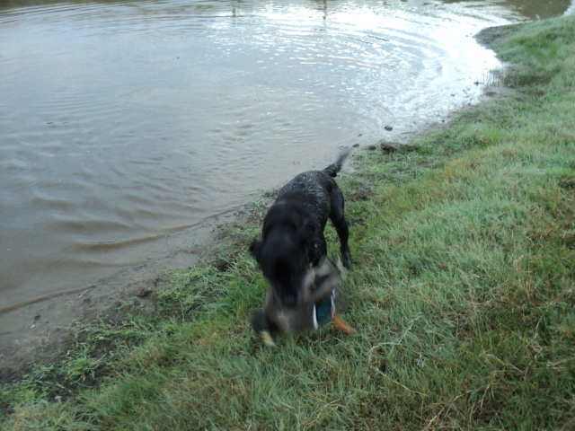 Name:  picture 8482.jpg
Views: 280
Size:  163.6 KB