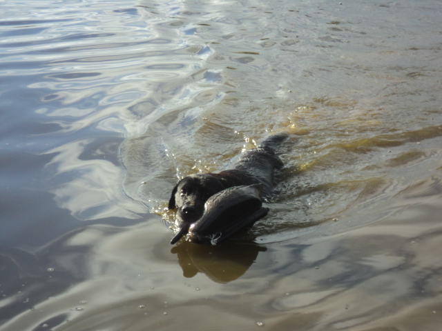 Name:  picture 8490.jpg
Views: 293
Size:  165.1 KB