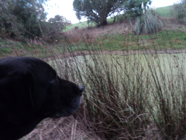 Name:  picture 8523.jpg
Views: 377
Size:  162.4 KB