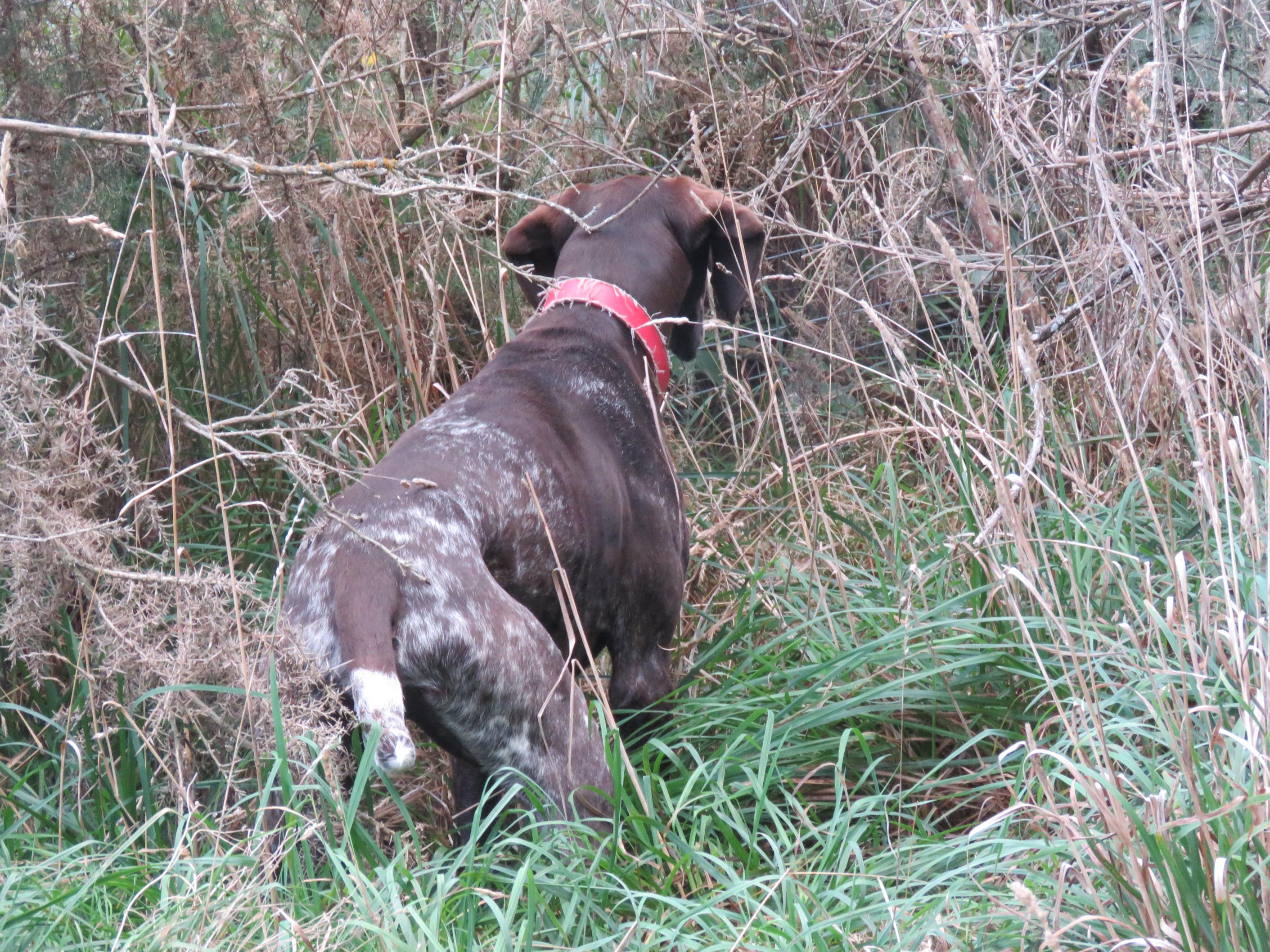 Name:  IMG_2293.jpg
Views: 403
Size:  1.10 MB