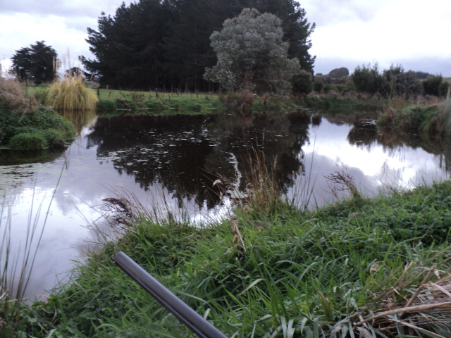 Name:  picture 8544.jpg
Views: 310
Size:  162.6 KB