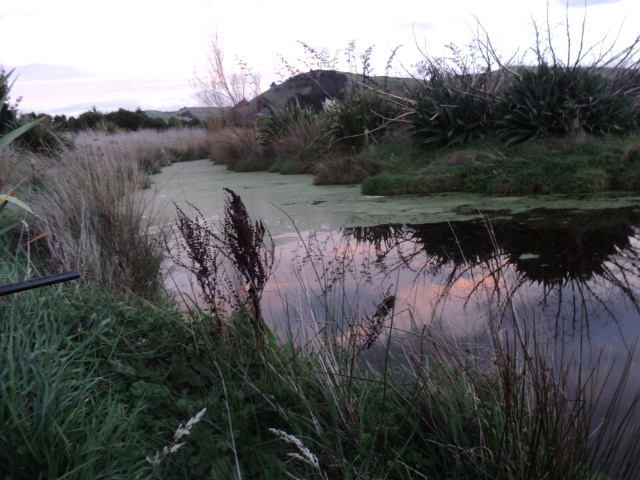 Name:  picture 8545.jpg
Views: 310
Size:  163.0 KB