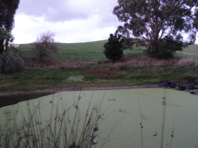 Name:  picture 8564.jpg
Views: 359
Size:  161.9 KB
