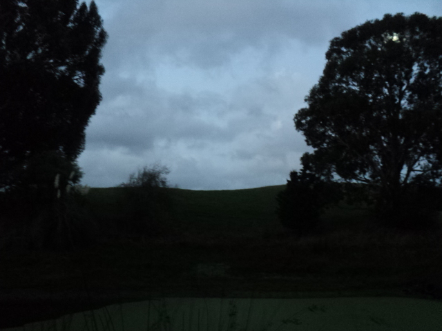 Name:  picture 8565.jpg
Views: 347
Size:  161.6 KB