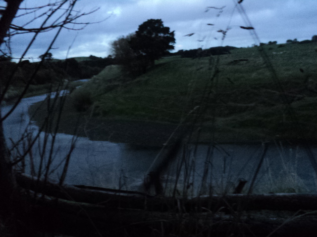 Name:  picture 8576.jpg
Views: 322
Size:  164.2 KB