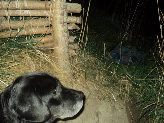 Name:  picture 8578.jpg
Views: 335
Size:  165.1 KB