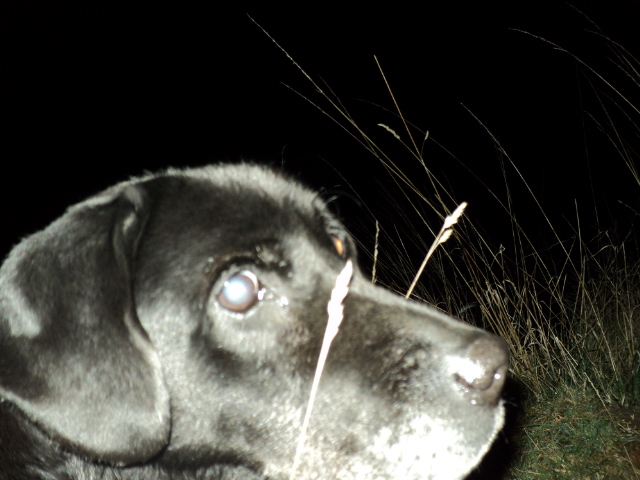 Name:  picture 8582.jpg
Views: 387
Size:  164.8 KB